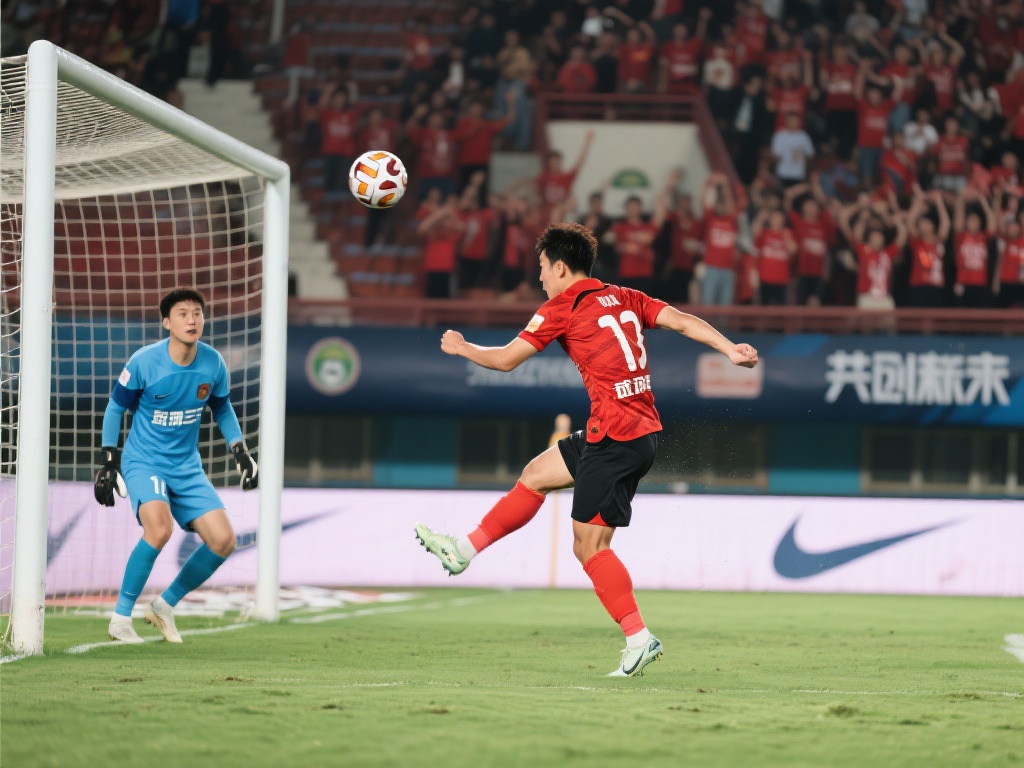 望引进的球 望引进的球